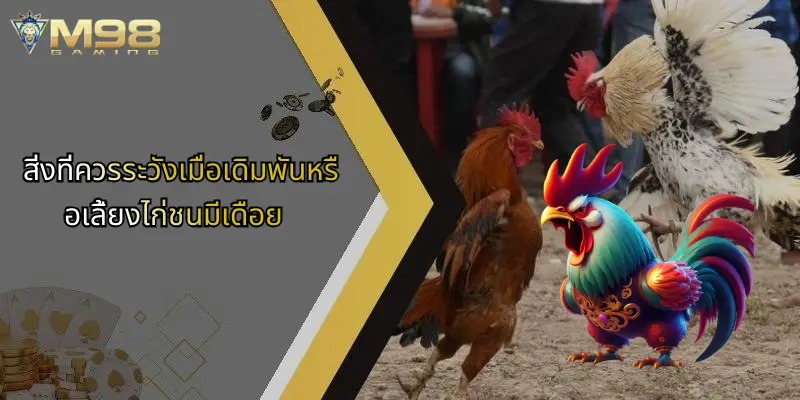 สิ่งที่ควรระวังเมื่อเดิมพันหรือเลี้ยงไก่ชนมีเดือย