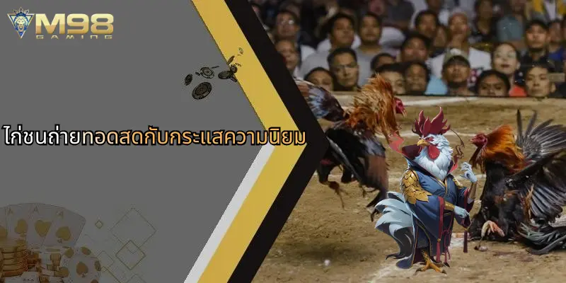 ไก่ชนถ่ายทอดสดกับกระแสความนิยม